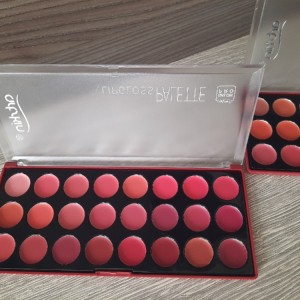 رژ لب پالتی 24رنگ ارت اسکین-108869